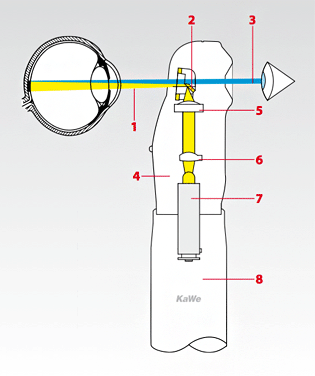 Схематическое изображение метода прямой офтальмоскопии